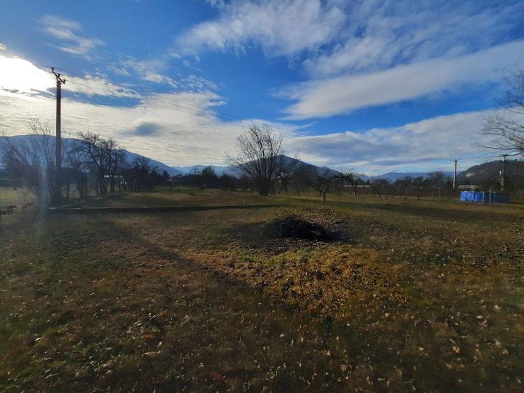 Teren intravilan de 2961 mp, în Alexandru cel Bun
