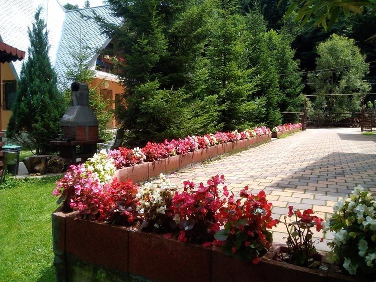 Casă cu 5 camere cu Teren 535 Mp în Nord-Est