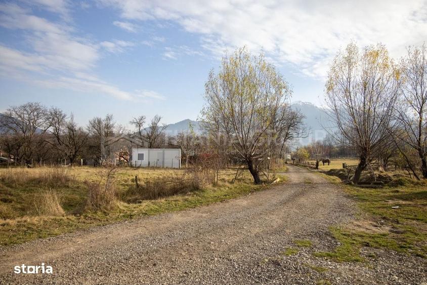 Teren intravilan, priveliste spre munti, Sohodol, Bran - 7