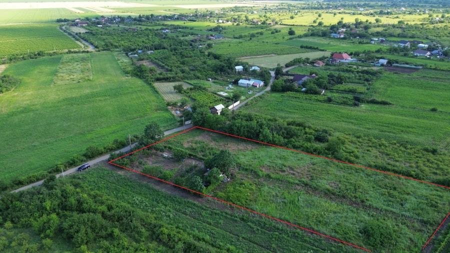 Teren Construcții intravilan de 5555 mp, în Urlați
