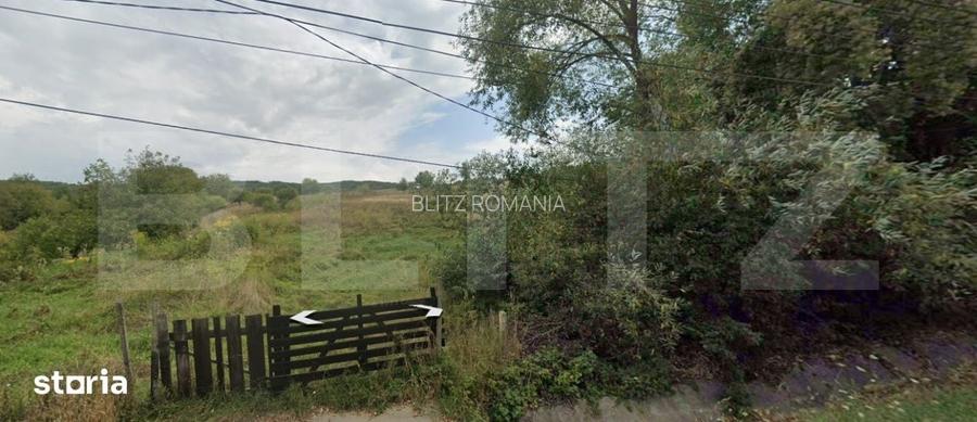 Teren de vanzare,Valea Budacului, 60 de ari, 10 ari intravilan, 50 ex