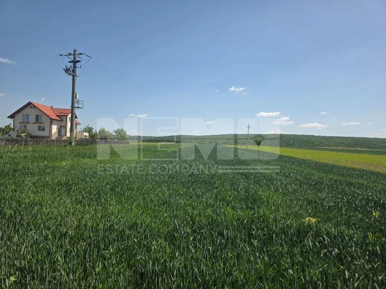 Teren agricol extravilan de 2600 mp, în Mitocu Dragomirnei