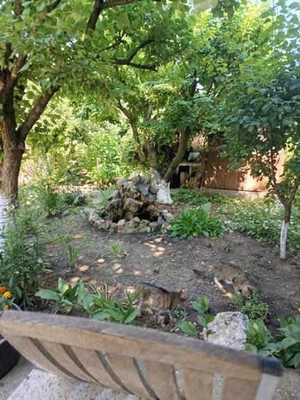Casă cu 5 camere cu Teren 500 Mp în Valu lui Traian