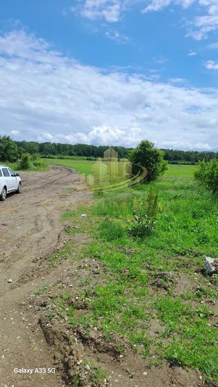 Teren agricol extravilan de 13500 mp, în Boteni