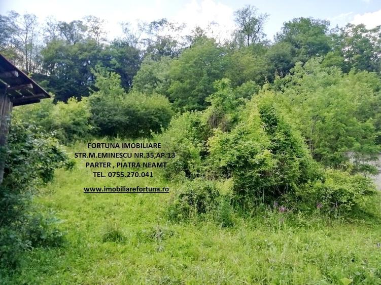 Teren Construcții intravilan de 2000 mp, în Dărmănești