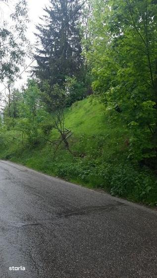 Teren de 1000 mp, în Central
