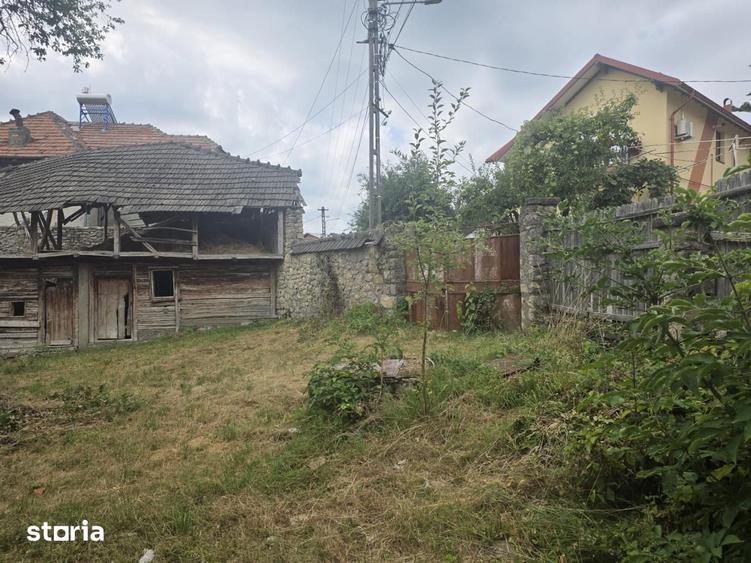 Buciumeni Dealul Mare - 3