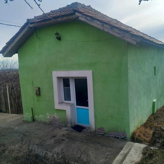 Casa la strada principala, in zona de deal 25 min de Severin, - 3