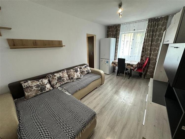 Apartament cu 2 camere nedecomandat, mobilat în Șagului