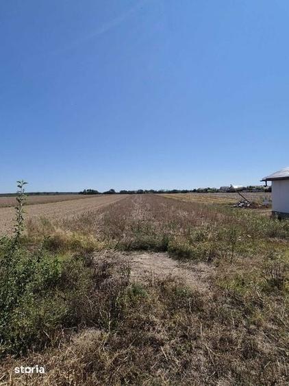 Teren de 3700 mp, în Lazuri