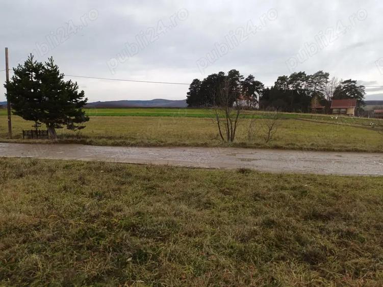 Teren de 2200 mp, în Valea Crișului