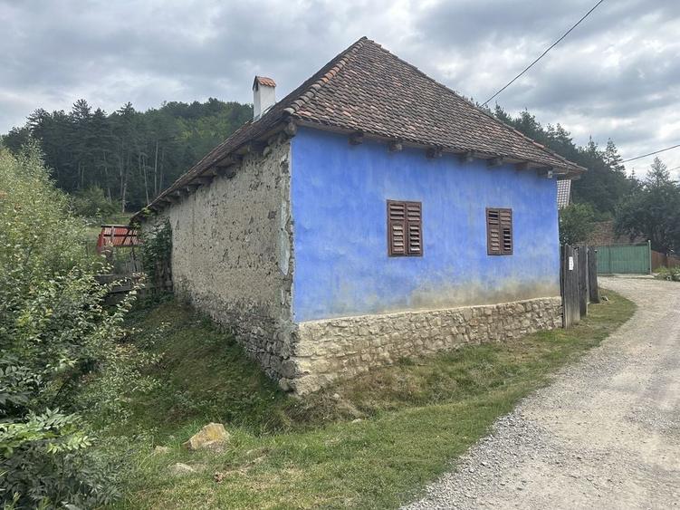 Casa traditionala la Valea Zalanului - 2