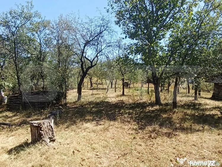 Casă cu 2 camere cu Teren 2200 Mp în Homorodu de Mijloc