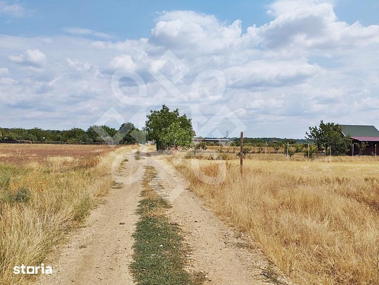 Teren intravilan de vanzare, 3000 mp in Gepiu, Bihor - 3