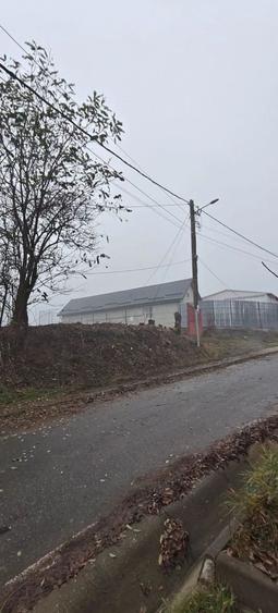 Teren Construcții intravilan de 1437 mp, în Feleacu