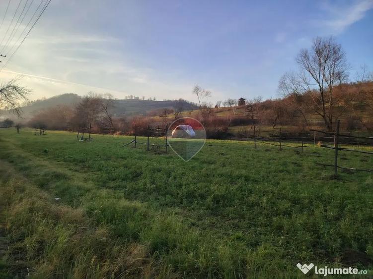 Teren în Bârsana