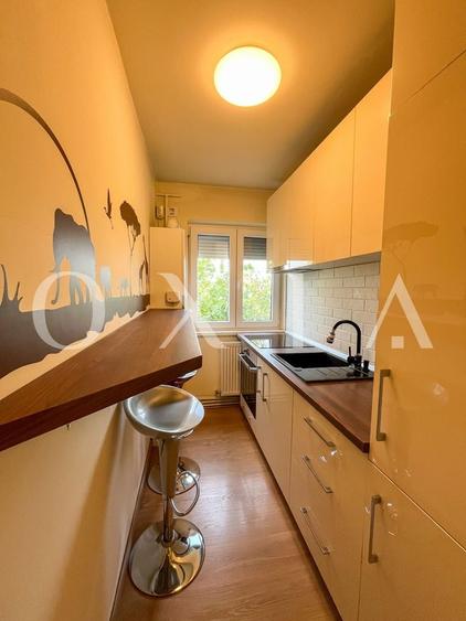 SX567 Take Ionescu, Ideal Investitie - 8