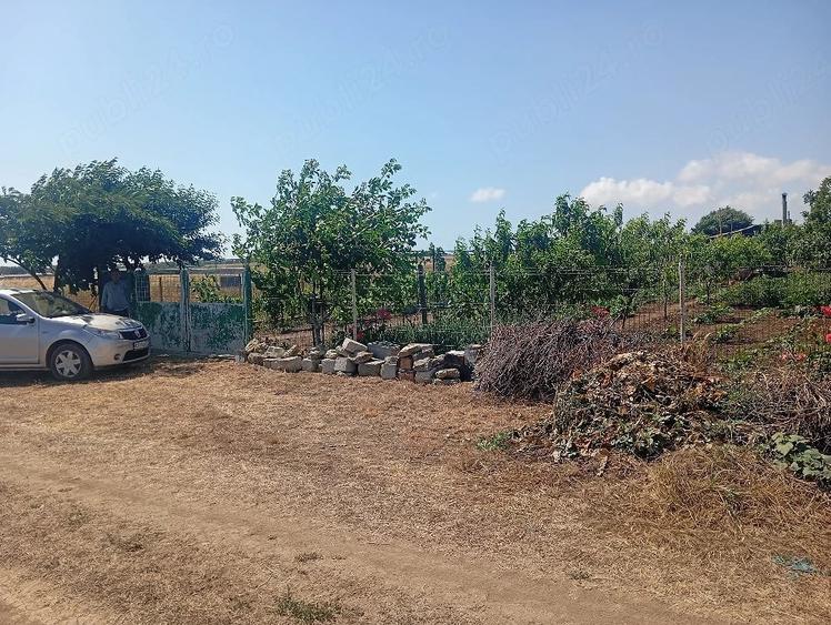 Se vinde proprietate de 5000m,costind dintr o ferma de crescut animale. - 4