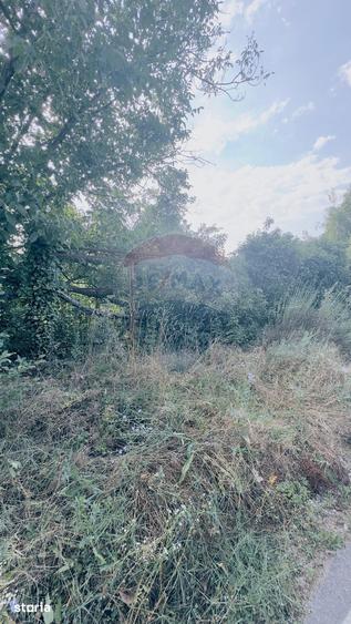 Teren de 1170 mp, în Leamna de Jos