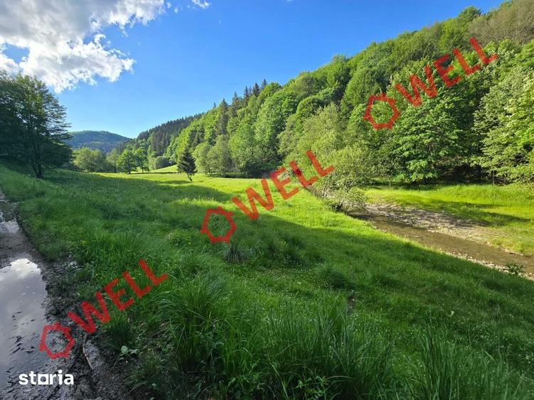Teren de 57000 mp, în Vama Buzăului