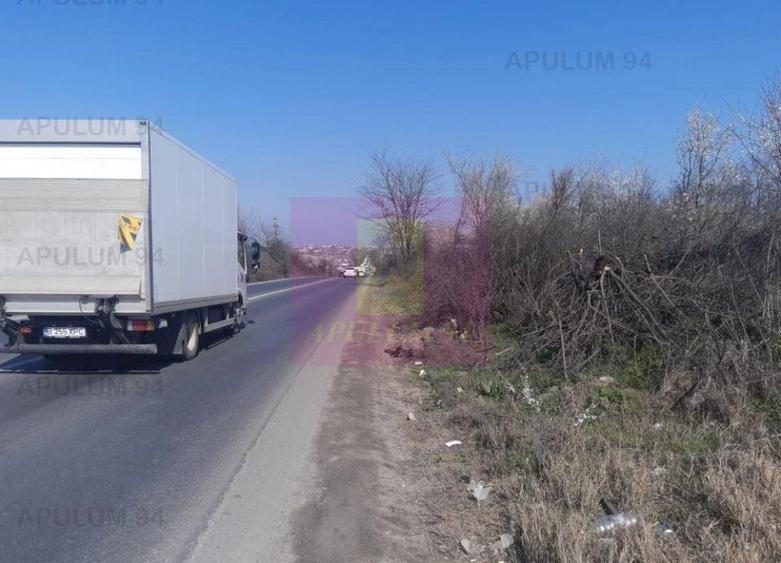Teren Construcții intravilan de 4800 mp, în Glina