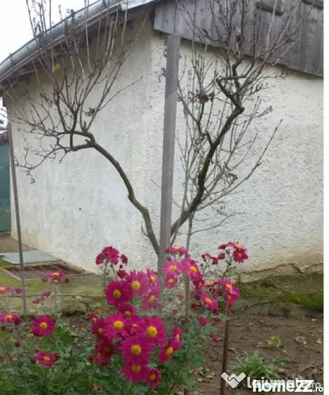 Casă cu 2 camere cu Teren 1807 Mp în Central