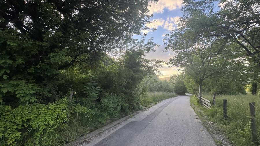 Teren Construcții intravilan de 4330 mp, în Malu cu Flori