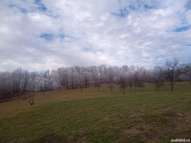 Teren de 17264 mp, în Pietroasa