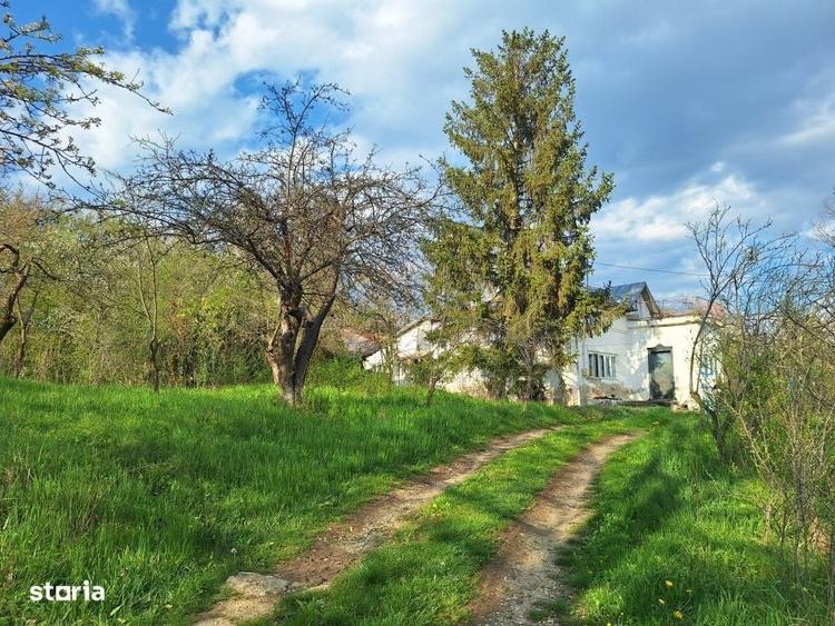 Casă cu 4 camere cu Teren 5950 Mp în Scorțeni