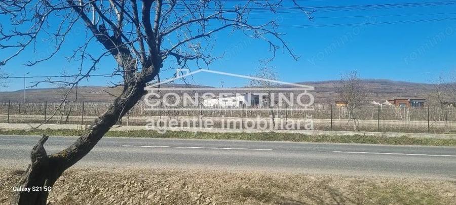 Se vinde imobil cu teren 3700 mp in com Merei - 3