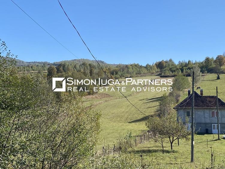 Teren Construcții intravilan de 8385 mp, în Vânători