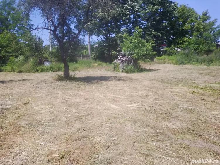 Teren de 4000 mp, în Copăceni