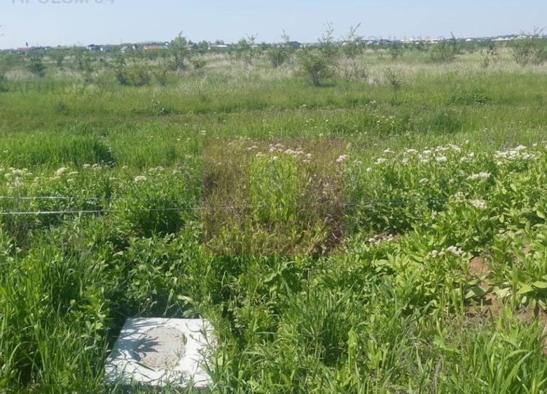 Teren Construcții intravilan de 29000 mp, în Est