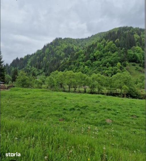 Teren de 1100 mp, în Terezian