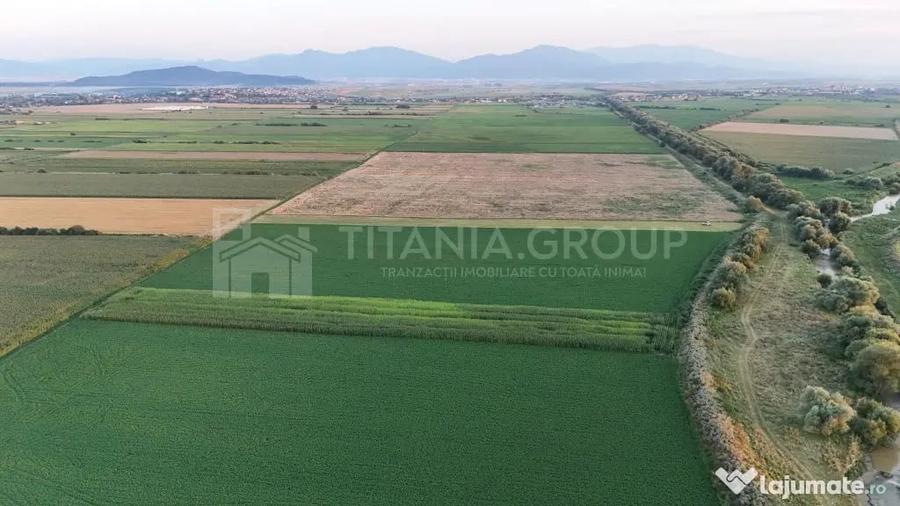 Teren extravilan, 8700 mp, pretabil agricultura sau inve... - 2