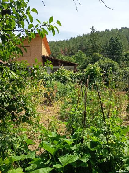 Casă cu 4 camere în Nehoiu