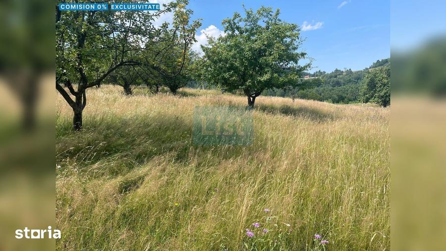 Teren cu poten?ial turistic, cadru natural rar, 20.000 mp Sacuieu - 1
