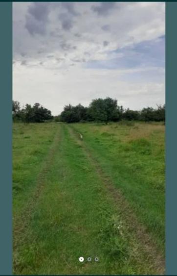 Teren extravilan de 15000 mp, în Filipeștii de Pădure