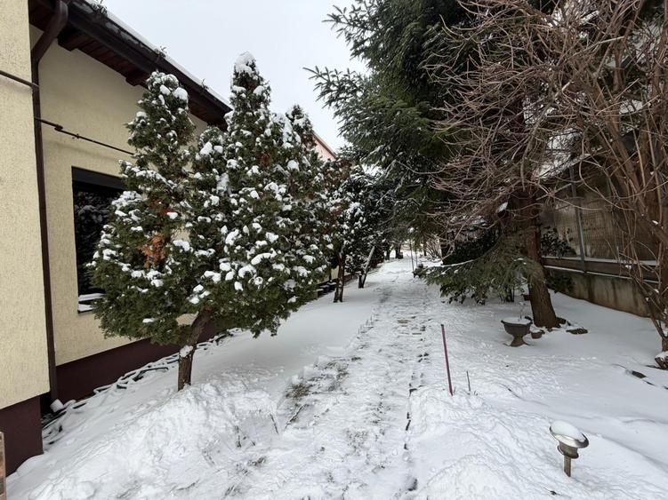 Casă individuală cu 5 camere cu Canalizare în Parcul Carol