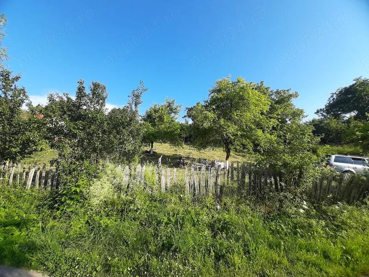 420mp sau 830mp in ?inutul Padurenilor , partea de sud-vest a jud. Hunedoara. - 8