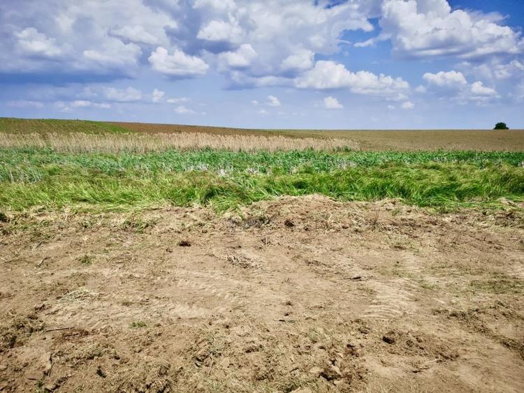 Teren intravilan de 10088 mp, în Butimanu