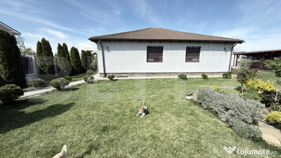 Casă cu 4 camere cu Teren 1105 Mp în Vetiș