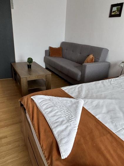 Apartament în Sub Arini