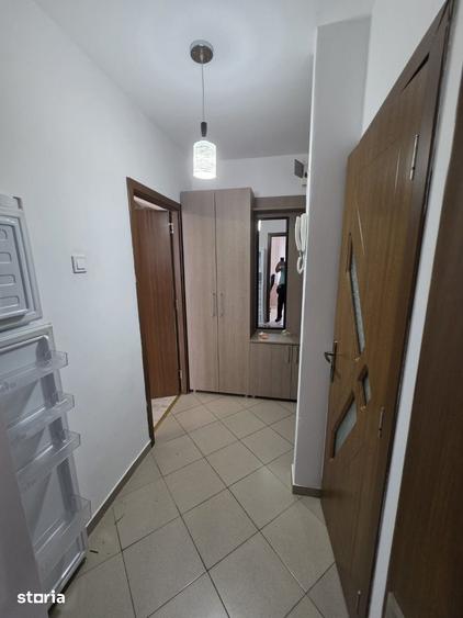 Dristor, 15 minute metrou, Ramnicul Sarat, pe strada Lacramioarei - 10