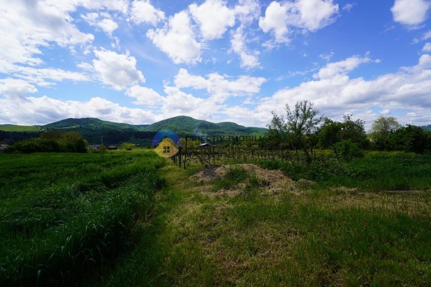 Teren intravilan de 9000 mp, în Vânători