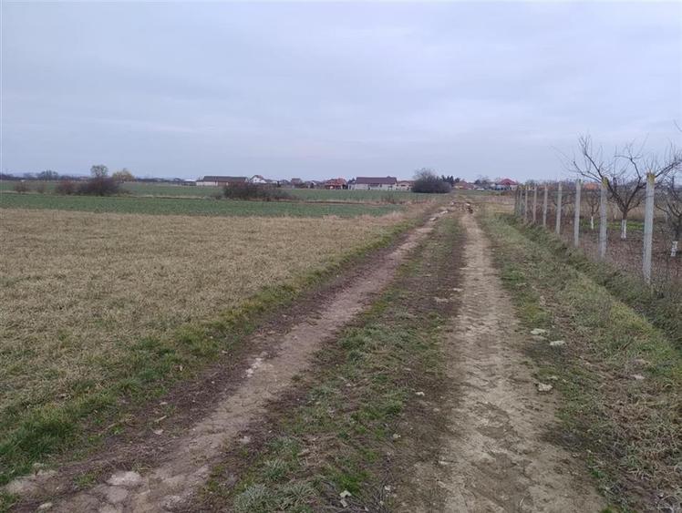 Teren Construcții intravilan de 6590 mp, în Oșorhei