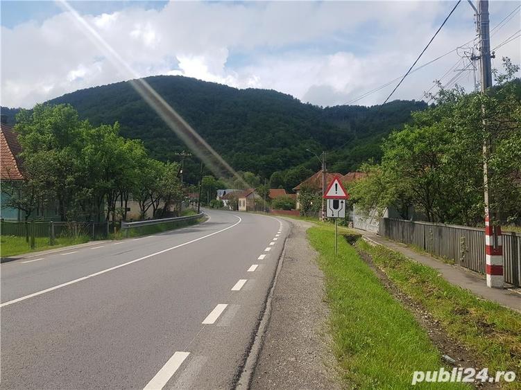 Teren de 4500 mp, în Ciucea