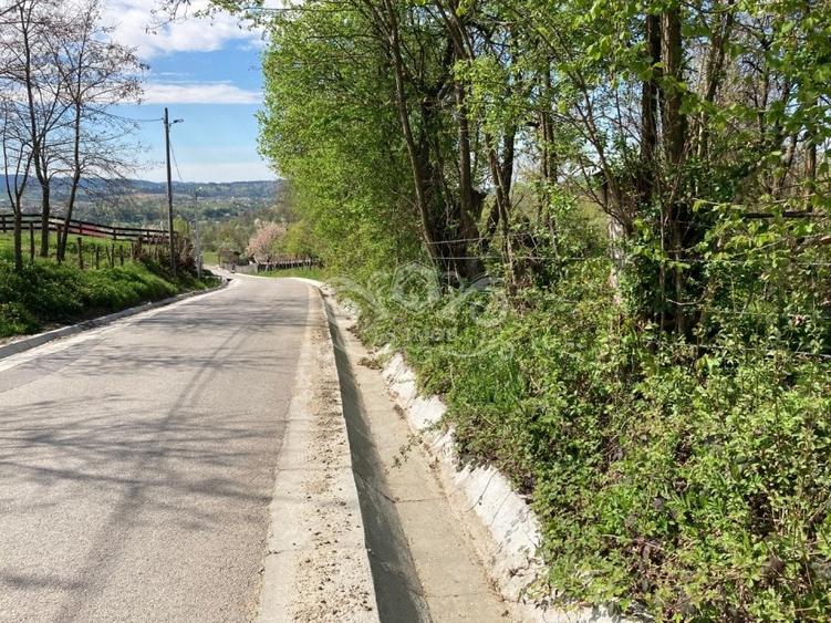 Teren Construcții intravilan de 4905 mp, în Albeștii de Muscel