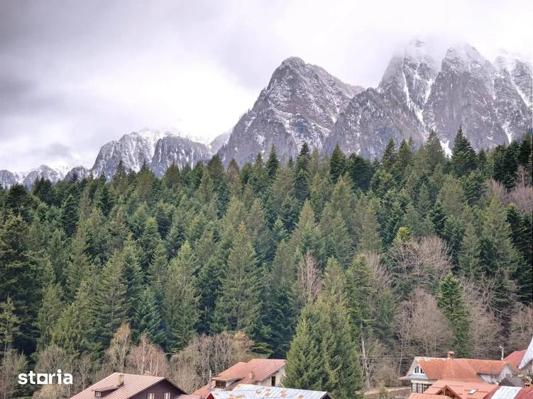 Apartament cu 2 camere în Valea Alba