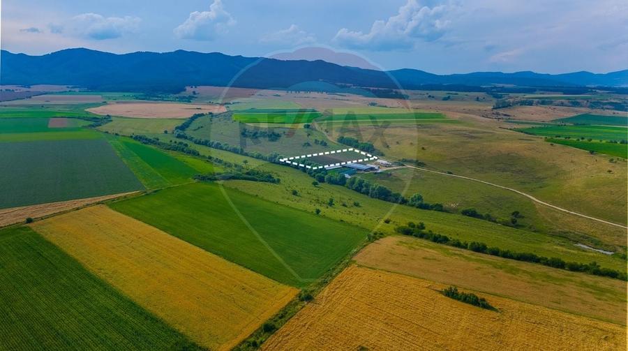 Teren agricol extravilan de 10800 mp, în Rotbav